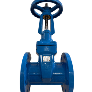 OS&Y Resilient Seated Gate Valve