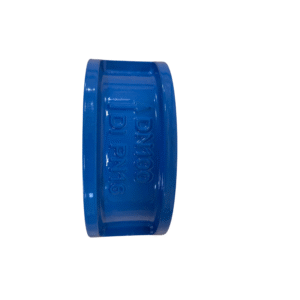 Double Door Wafer Check Valve -PN 16