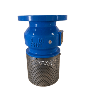 Flanged Foot Valve