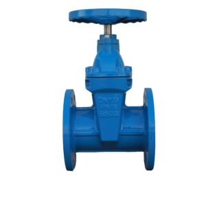 NRS Resilient Seat Gate Valve