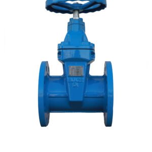 NRS Gate Valve – PN 25