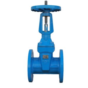 OS&Y Resilient Seated Gate Valve