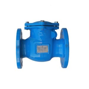 Flanged Metal Seated Swing Check Valve