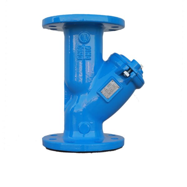 Y-Pattern Strainer