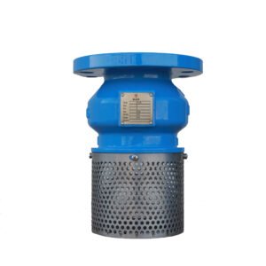 Flanged Foot Valve