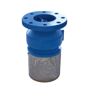 Flanged Foot Valve