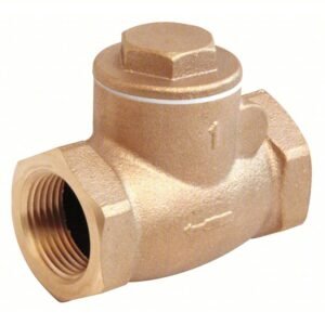 Bronze Check Valve