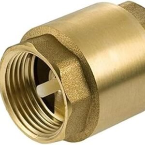 Brass Vertical Check Valve