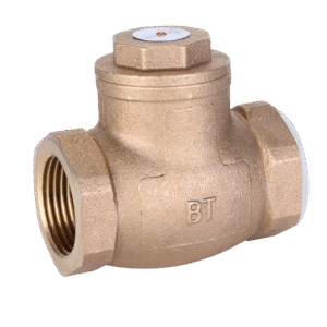 Bronze Check Valve