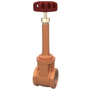 Bronze Rising Stem Gate Valve